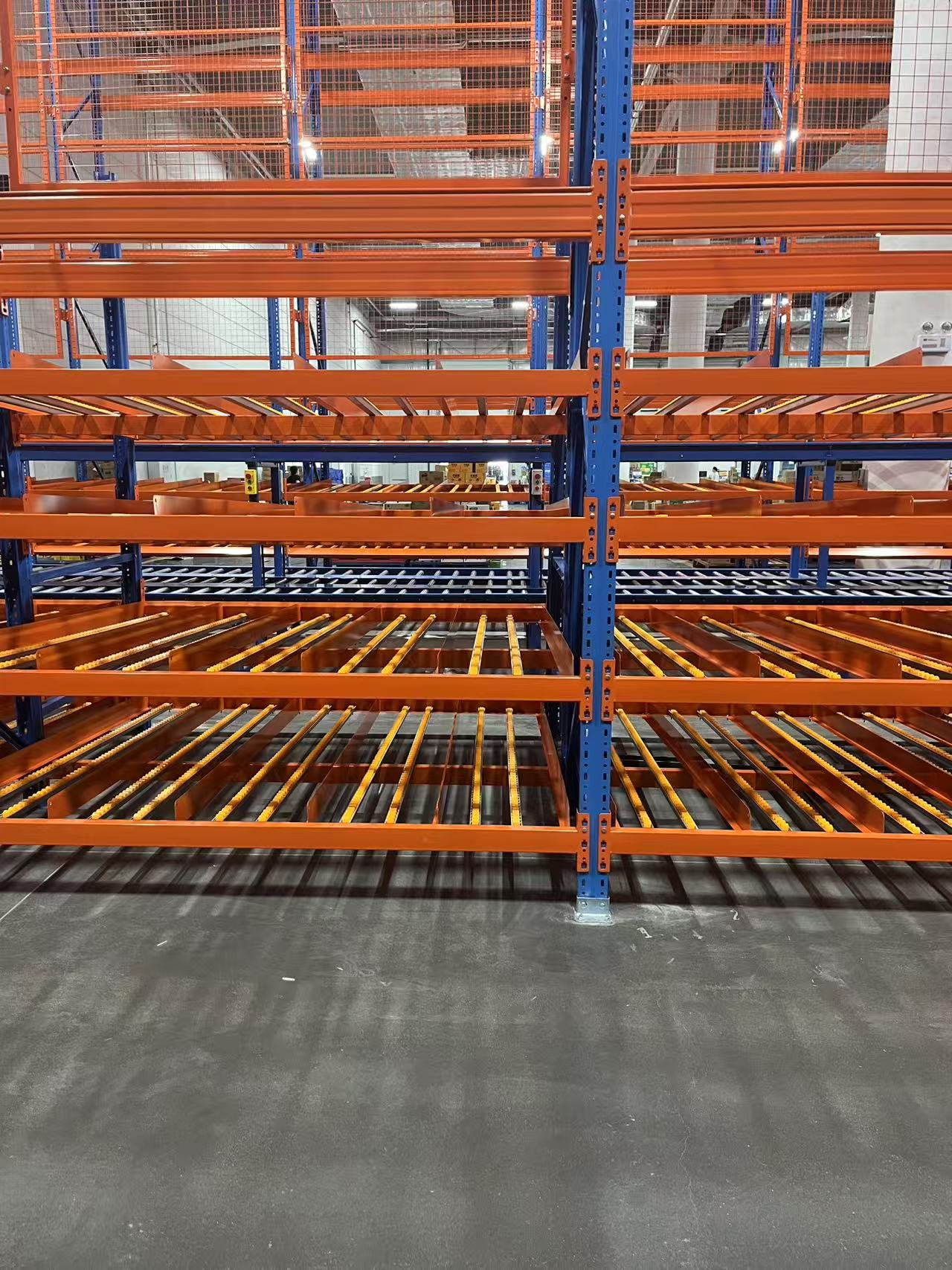Carton Flow Storage System