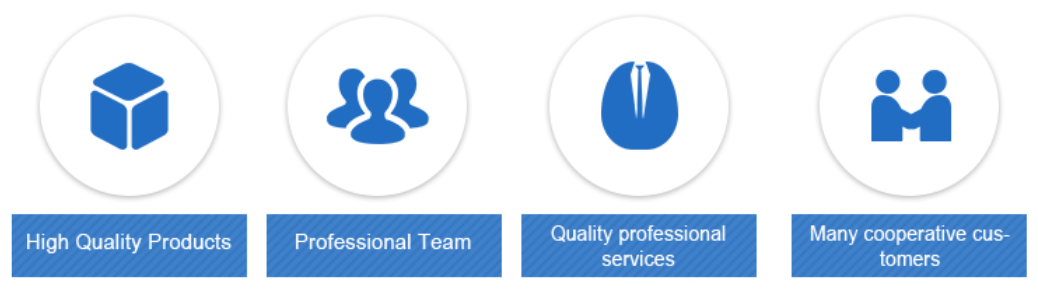 Why Choose Us Advantages