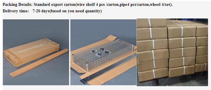 Packaging Carton