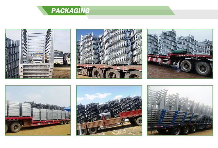 Packing and Transport 1