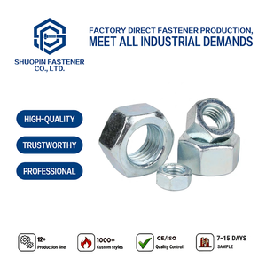 Carbon Steel Zinc Plated Hex Nut DIN934 Class 8 for Heavy Duty Pallet Rack