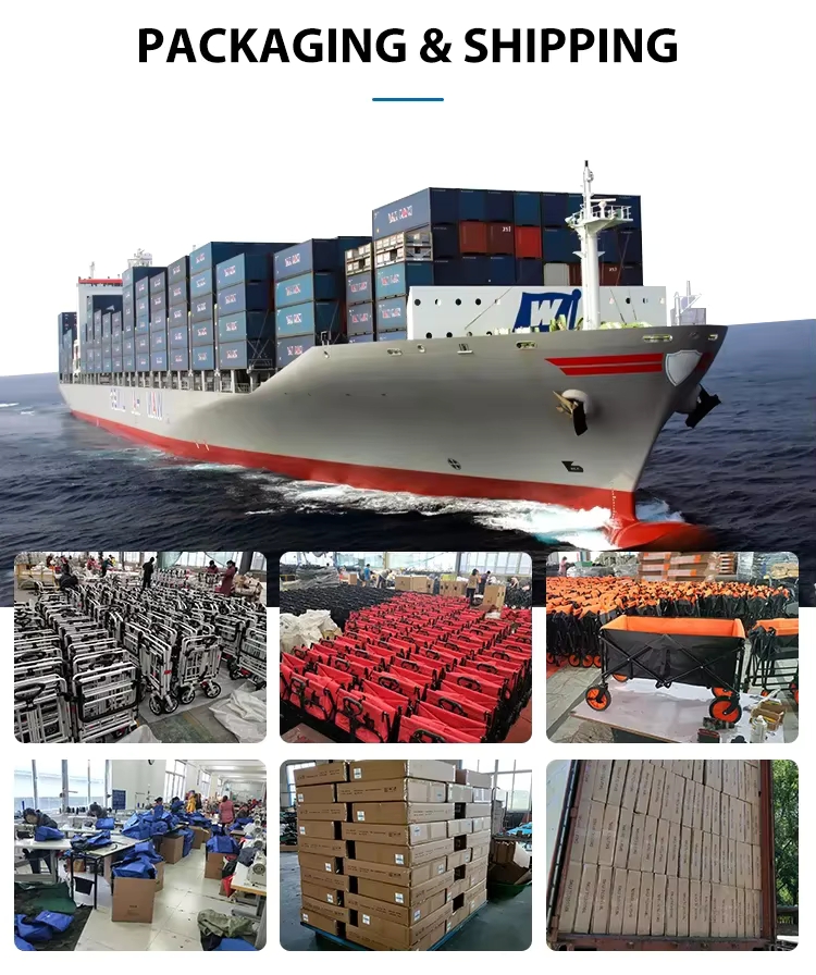 Shipping Logistics